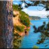 Cliff View. Pictured Rocks Nat'l Lakeshore.
Sizes available:30x20, 24x18, 16x20, 11x14, 10x8   