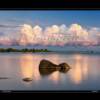 Hog Island
8x10   
11x14
16x20 