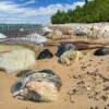 Boulder Beach #1

8x10   
16x20 
20x24 
24x30 