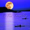 Moonlit Kayakers

8x10    $15
11x14  $30