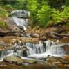 Lower Sable Falls

8x10    $15
11x14  $30
16x20  $55