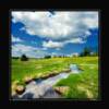 Slapneck Creek
24x24 $245 framed
20x20 $205  framed
16x16 $145  framed  
12x12 $  85  framed
