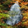 Forest Falls
16x20 $95 framed
11x14 $55 framed
8x10   $35 framed
