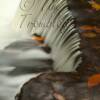 Falls

12x24