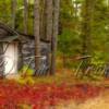 Da' Camp (fall)

24x8
36x12
48x16

