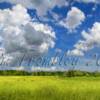 Summer Sky

20x10
40x20