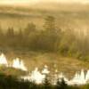 Misty Morning II 
24x8    
36x12  
48x16  