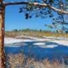 AuTrain River 
24x8    
36x12  