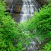 Chapel Falls
8x24   
12x36