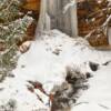 Munising Falls in winter